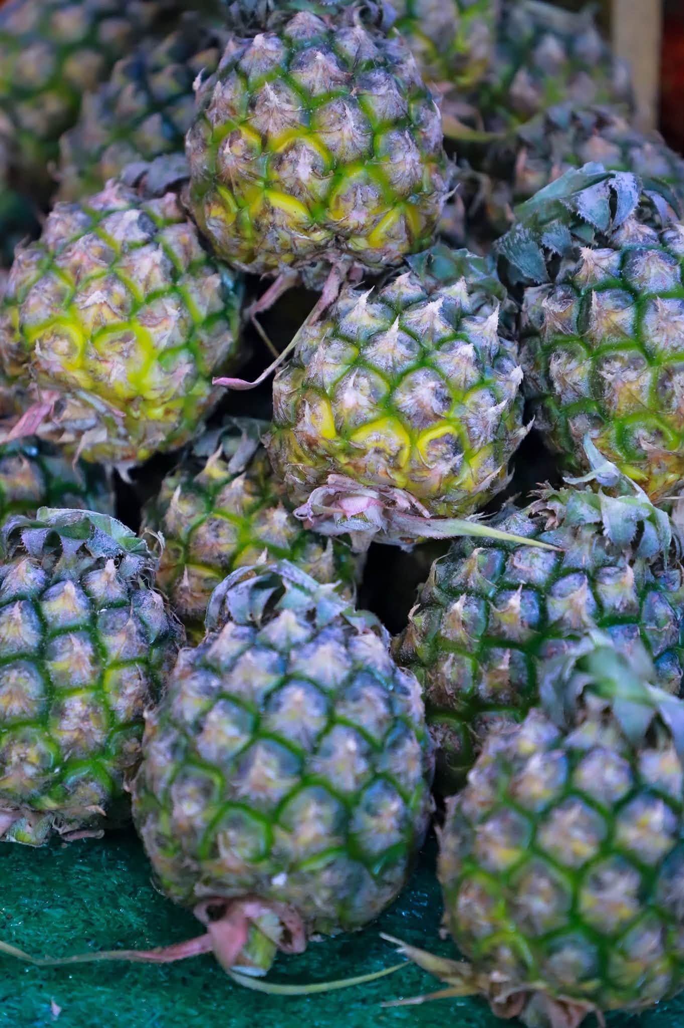 title - ส.ป.ก. ร่วมงานแถลงข่าว Thailand : The Land of Tropical Fruits ในวันที่ 12 - 16 กรกฎาคม 2569 ณ ลานคนเมือง กรุงเทพฯ